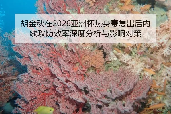 胡金秋在2026亚洲杯热身赛复出后内线攻防效率深度分析与影响对策