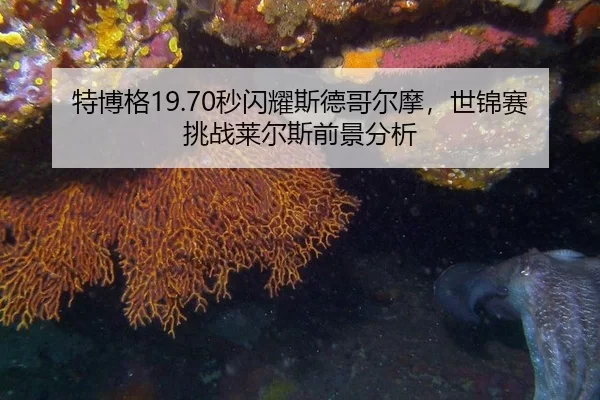 特博格19.70秒闪耀斯德哥尔摩，世锦赛挑战莱尔斯前景分析